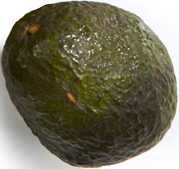 Avocado - 20 ct
