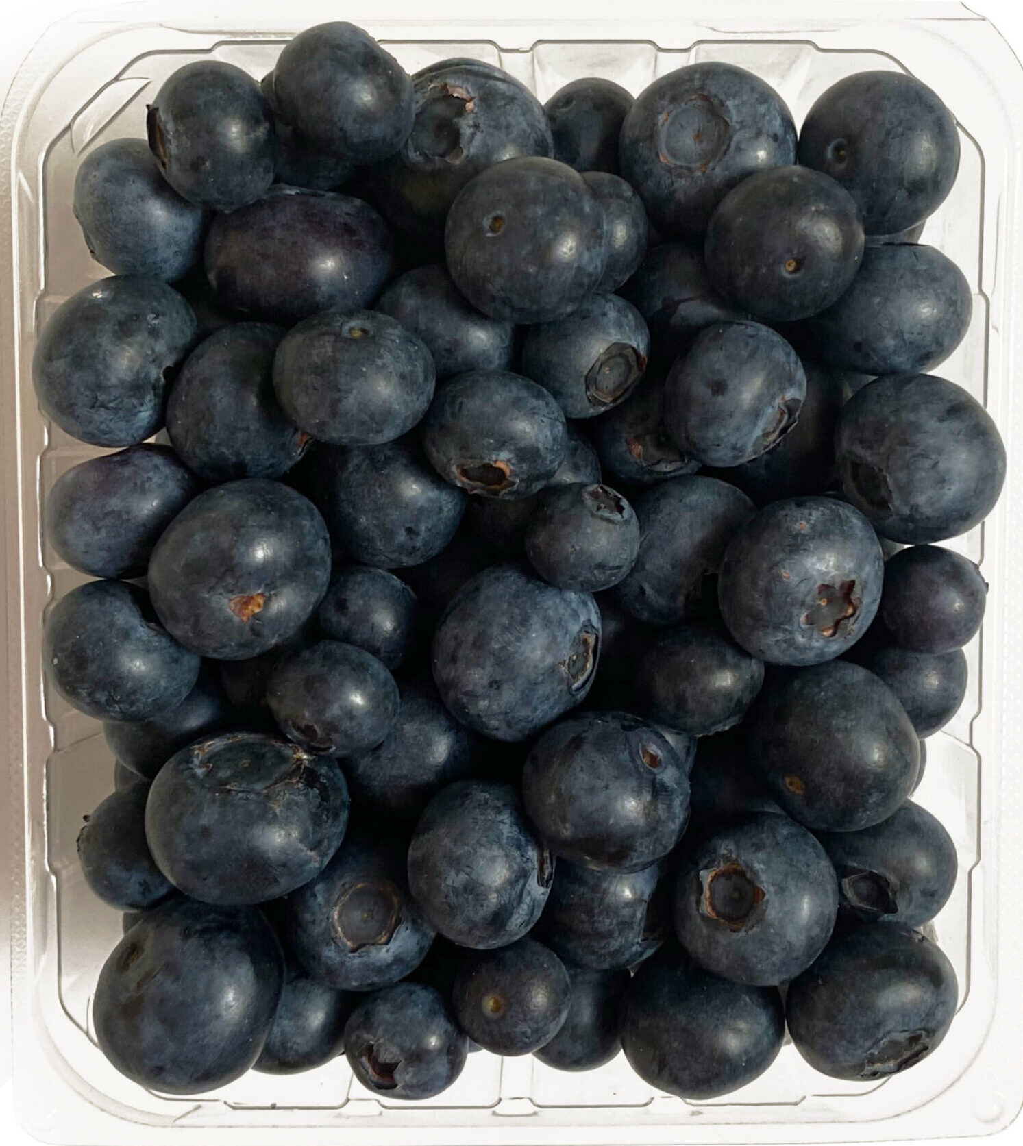 Blueberries - 12 x pint Case