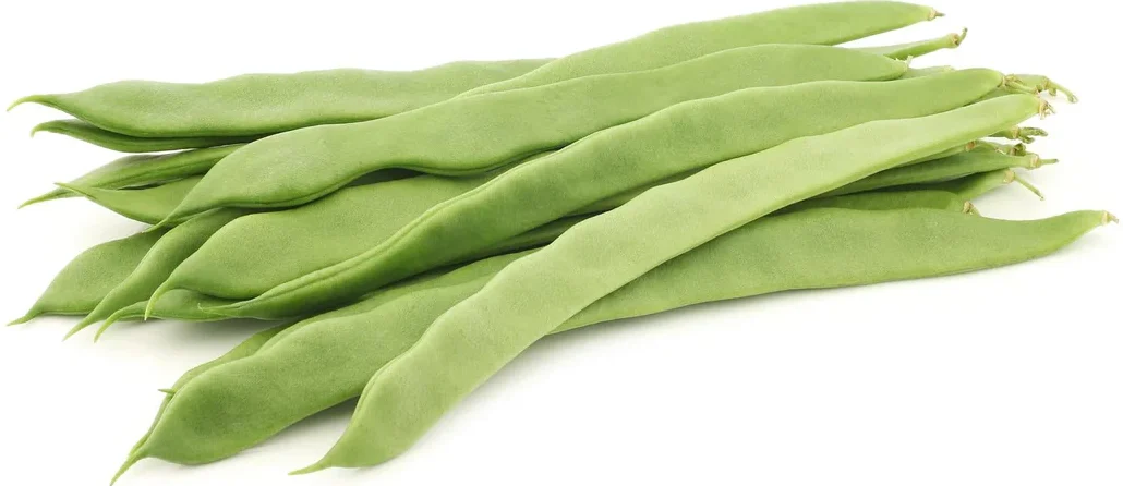 Beans - Runner 11lb