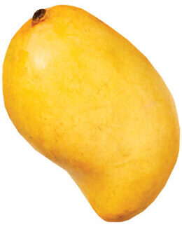 Mango - Ataulfo 18ct case