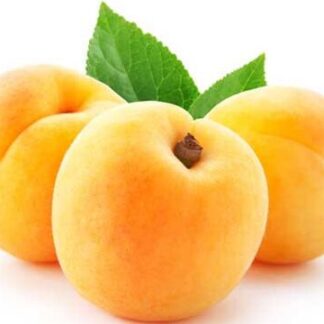 Apricots Ontario 15lb