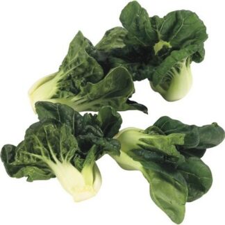 Bok Choy - Baby 25lb