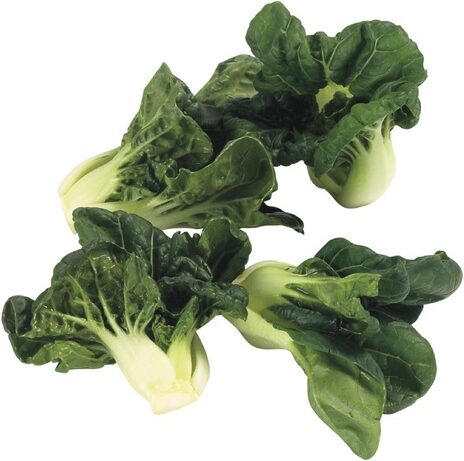 Bok Choy - Baby 1lb