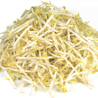 Bean Sprouts - 1lb