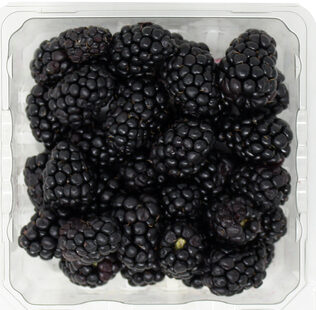 Blackberries - 12 x 6oz case