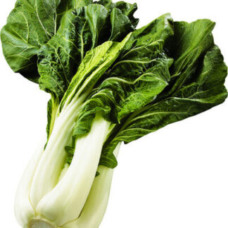 Bok Choy - 40lb
