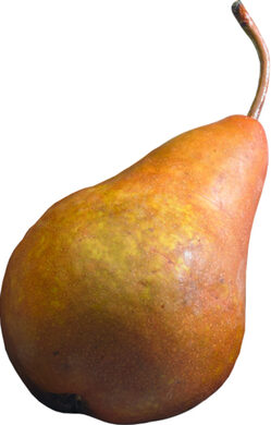 Pears - Bosc 80ct case