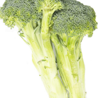 Broccoli - 18ct