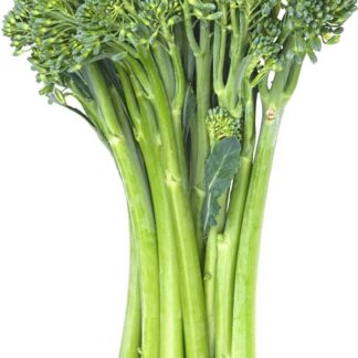 Asparation - Broccolini 18ct case
