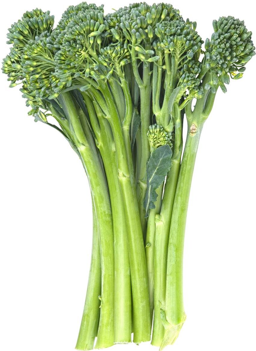 Asparation - Broccolini 18ct case
