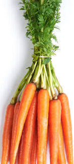 Carrots - Bunch ea