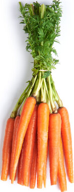 Carrots - Bunch ea