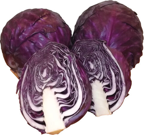 Cabbage - Red 1lb