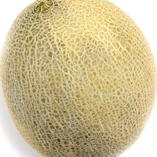Melons - Cantaloupe 12ct case