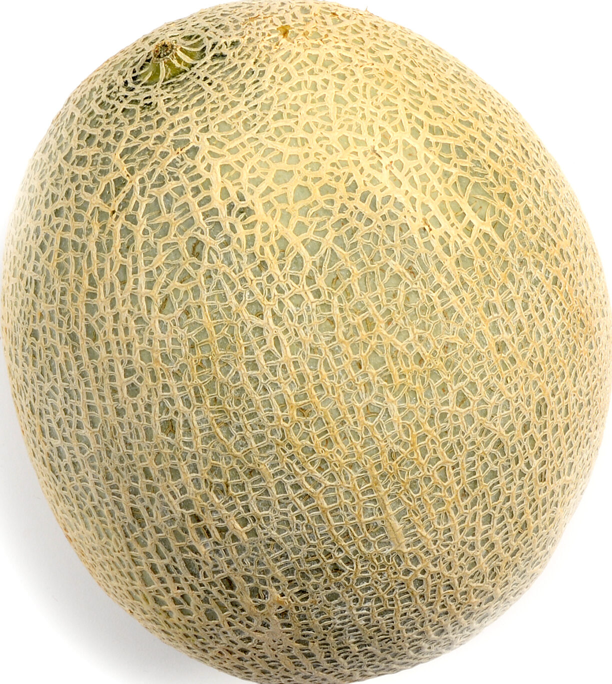 Melons - Cantaloupe 12ct case
