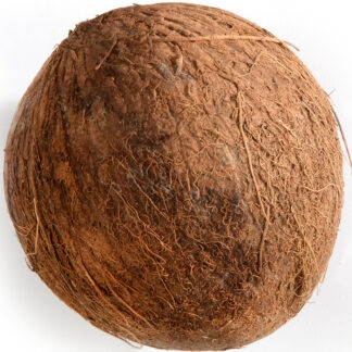 Coconut - Brown 30ct case