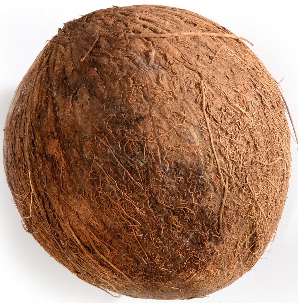 Coconut - Brown 30ct case