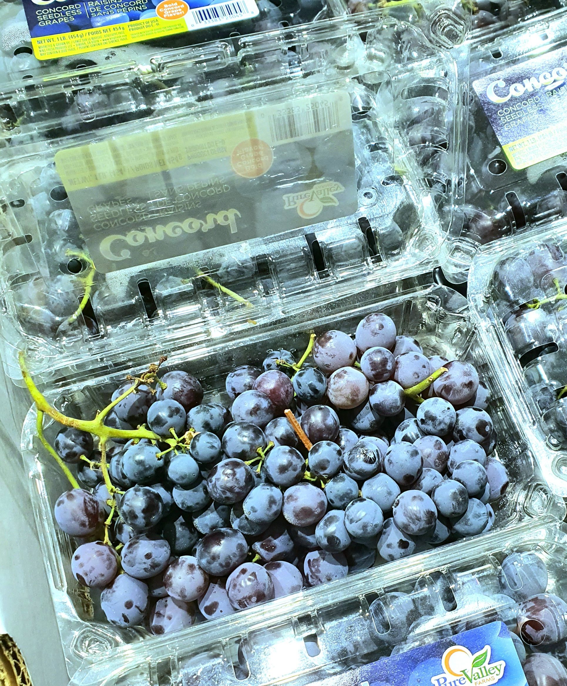 Grapes Concord 10 ct