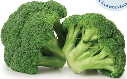 Broccoli - Crowns 1lb