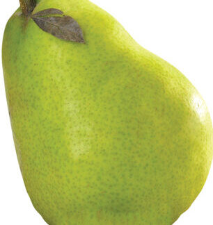 Pears - Anjou ea