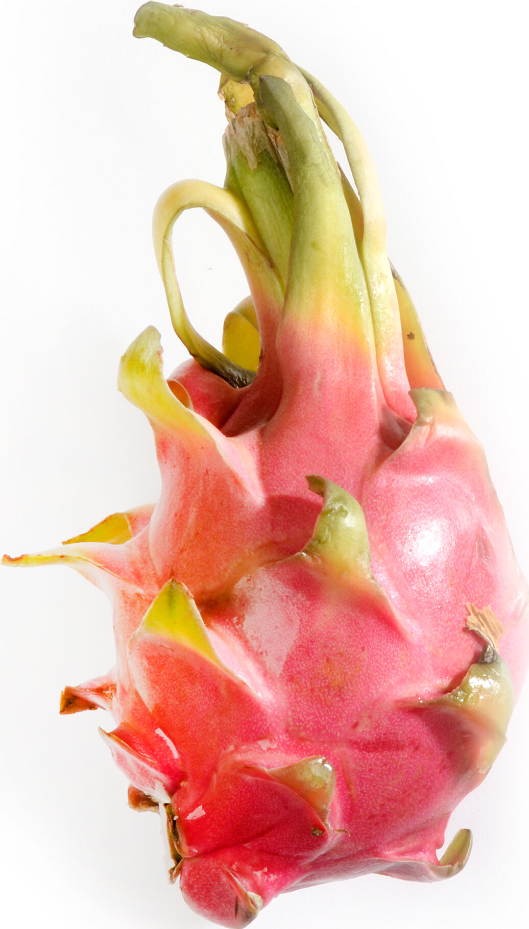 Dragon Fruit - Red 12ct case