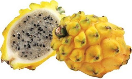 Dragon Fruit - Yellow 12 ct case