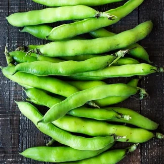 Beans - Fava 1lb