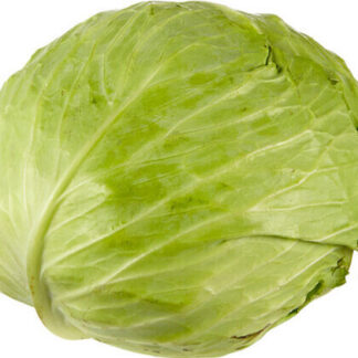 Cabbage - Flat 40lb