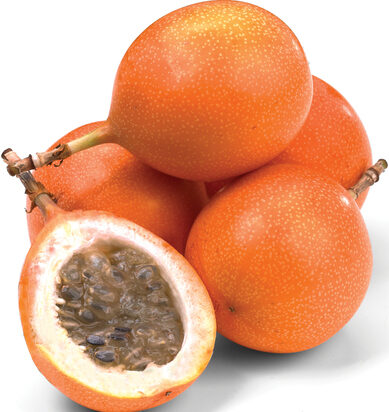 Granadilla - 15ct case