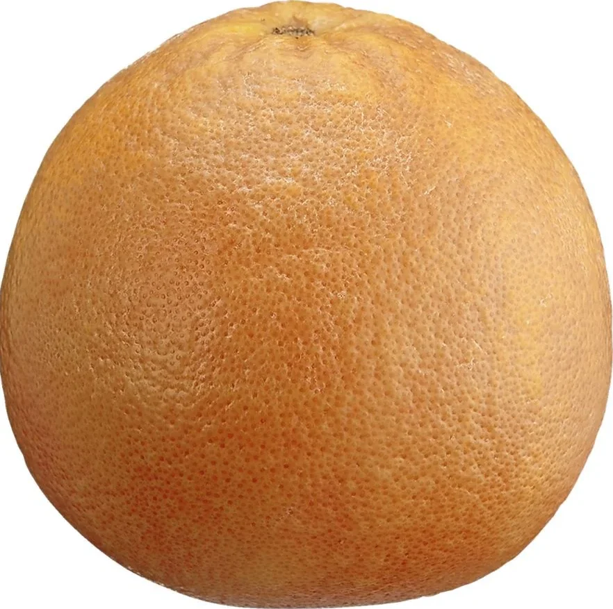 Grapefruit - Large 35ct case