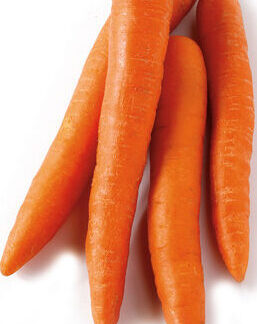 Carrots - Jumbo 50lb