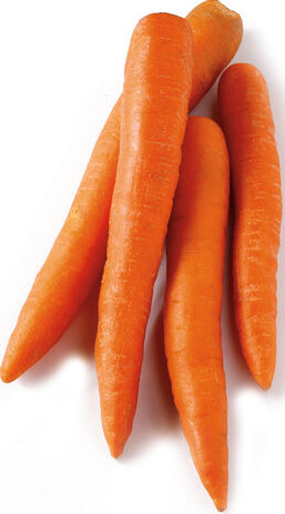 Carrots - Jumbo 1lb