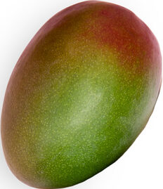 Mangoes - 12ct case