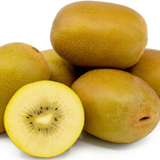 Kiwi - Golden 54ct case