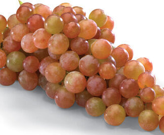 Grapes - Muscatel 1lb