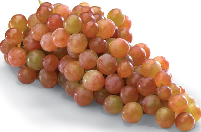 Grapes - Muscatel 15lb case
