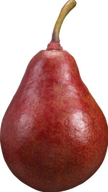 Pears - Red 28ct case