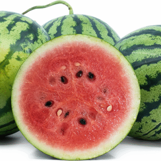 Melons - Personal 8ct