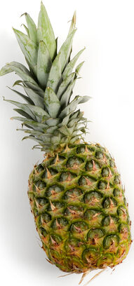Pineapple - 6ct case
