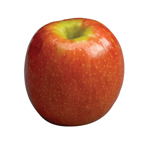 Apples - Pink Lady 40lb case