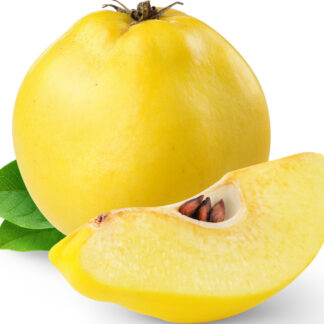 Quince - ea
