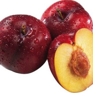 Plums - Red 28lb case