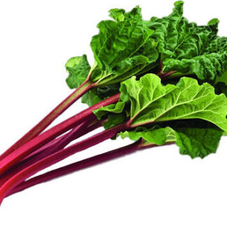 Rhubarb - 1lb