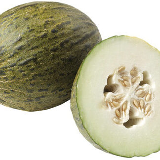 Melon - Santa Claus 5ct case