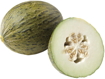 Melon - Santa Claus 5ct case