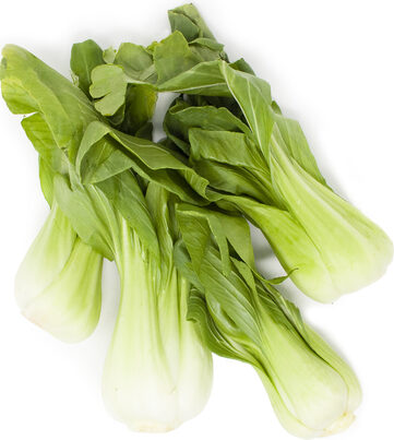 Bok Choy - Shanghai 1lb