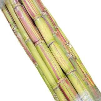 Sugar Cane - 20ct case