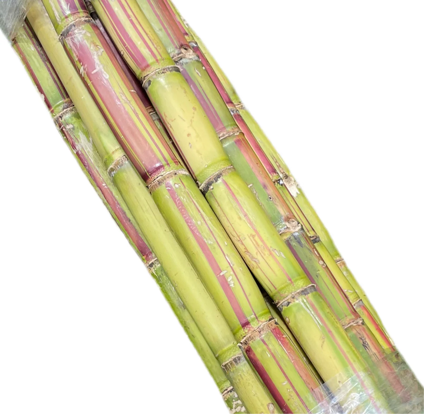 Sugar Cane - 20ct case