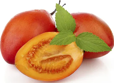 Tamarillo - 18ct case