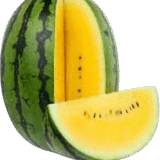 Watermelon - Yellow 6ct Case